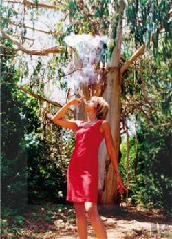 Bertrand.pt - Eucalyptus