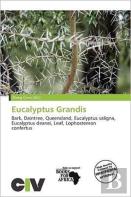 Eucalyptus Grandis