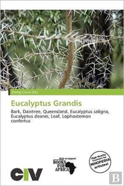Bertrand.pt - Eucalyptus Grandis