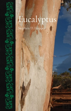 Bertrand.pt - Eucalyptus