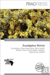 Eucalyptus Stricta