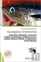Eucalyptus Tereticornis
