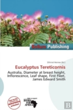 Bertrand.pt - Eucalyptus Tereticornis