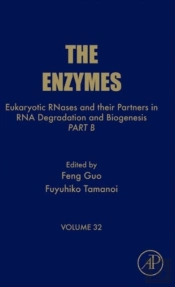 Eukaryotic Rnases And Their Partners In Rna Degradation And Biogenesis