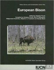 European Bison
