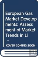 European Gas Market Developments
