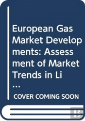 European Gas Market Developments