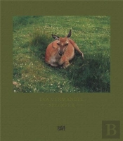 Eva Vermandel Splinter /Anglais