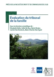 Évaluation Du Tribunal De La Famille