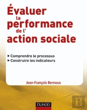 Évaluer La Performance De L'Action Sociale : Comprendre Le Processus, Construire Les Indicateurs