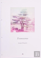 Évanescence