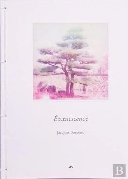 Bertrand.pt - Évanescence