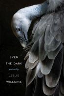 Even The Dark