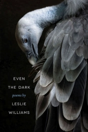 Even The Dark