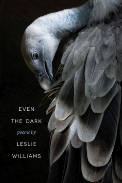 Bertrand.pt - Even The Dark