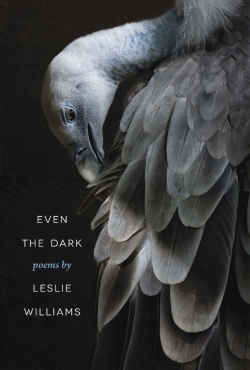 Bertrand.pt - Even The Dark