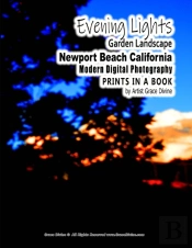Evening Lights Garden Landscape Newport Beach California Modern Digital Photography Prints In A Book By Artist Grace Divine