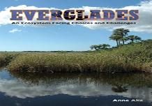 Everglades