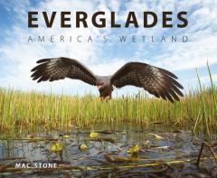 Everglades