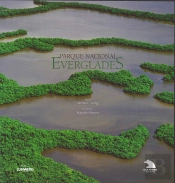 Everglades