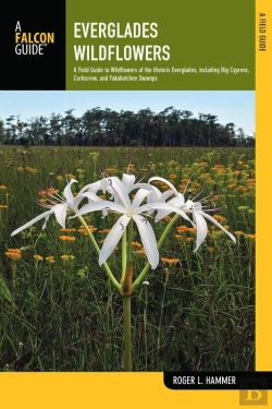 Bertrand.pt - Everglades Wildflowers