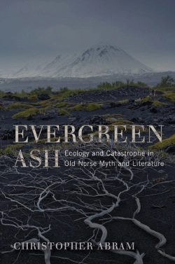 Bertrand.pt - Evergreen Ash