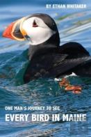 Every Bird In Maine