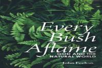 Every Bush Aflame