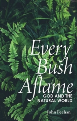 Bertrand.pt - Every Bush Aflame