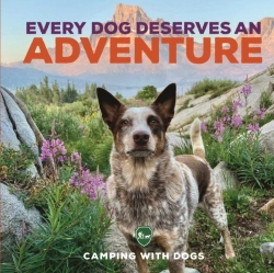Bertrand.pt - Every Dog Deserves An Adventure