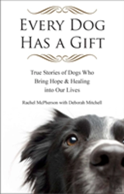 Bertrand.pt - Every Dog Has A Gift