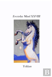 Everyday Mind Xxviii
