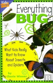 Everything Bug