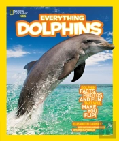 Everything Dolphins