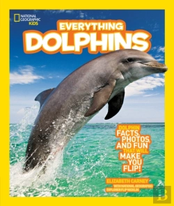 Bertrand.pt - Everything Dolphins