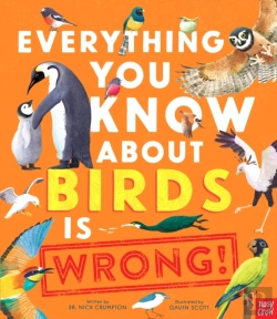 Bertrand.pt - Everything You Know About Birds Is Wrong!