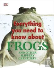Everything You Need To Know About Frogs And Other Slippery Creatures
