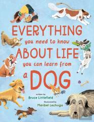 Everything You Need To Know About Life You Can Learn From A Dog