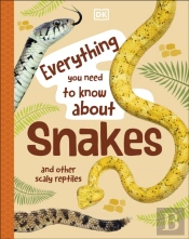 Everything You Need To Know About Snakes