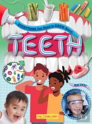 Everything You Need To Know About Teeth