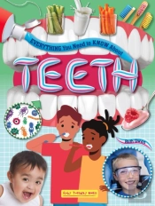 Everything You Need To Know About Teeth