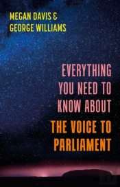 Everything You Need To Know About The Voice To Parliament