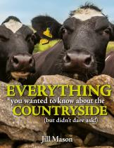 Everything You Wanted To Know About The Countryside