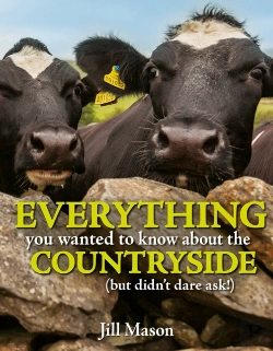 Bertrand.pt - Everything You Wanted To Know About The Countryside