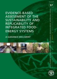Evidence-Based Assessment Of The Sustainability And Replicability Of Integrated Food-Energy Systems