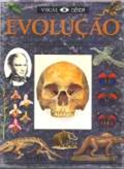 Bertrand.pt - Evolução