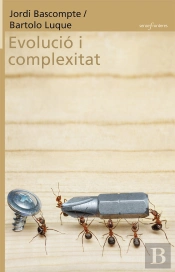 Evolució I Complexitat
