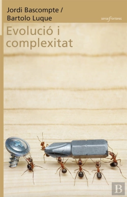 Bertrand.pt - Evolució I Complexitat