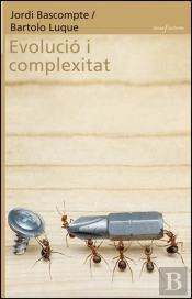 Evolució I Complexitat