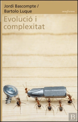 Bertrand.pt - Evolució I Complexitat